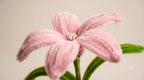Single Lily Pipe Cleaner Flower Bouquet